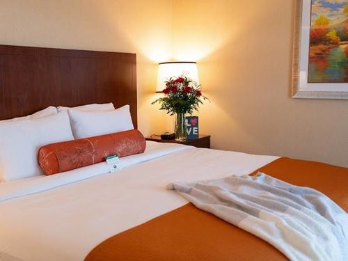 Photo of Phoenix Inn Suites Albany