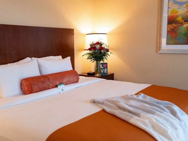Photo of Phoenix Inn Suites Albany