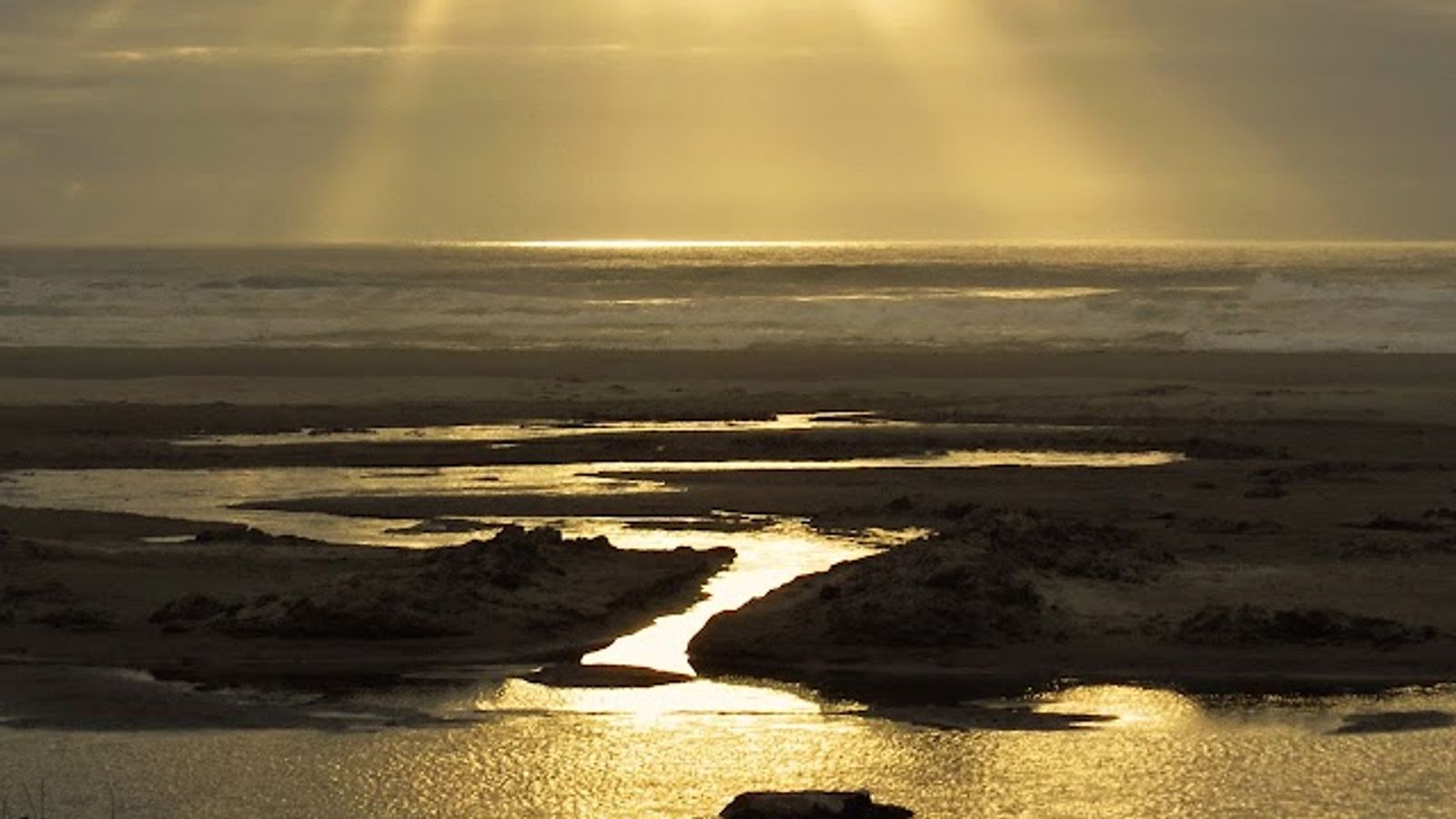 Photo of Super 8 Florence OR (Previously Old Town Inn) - Outdoor Activities