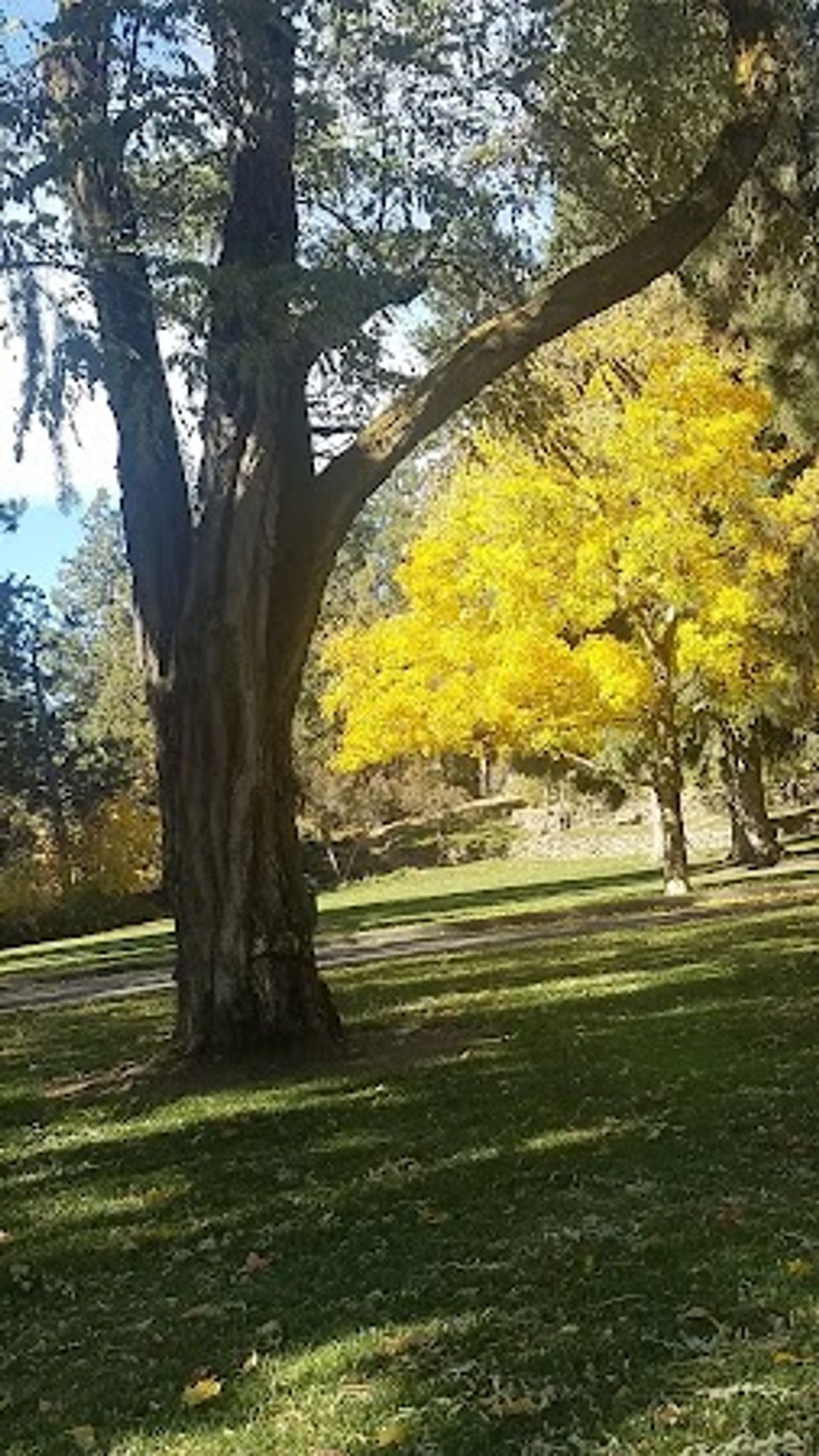 Photo of Bend Riverside Rentals LLC