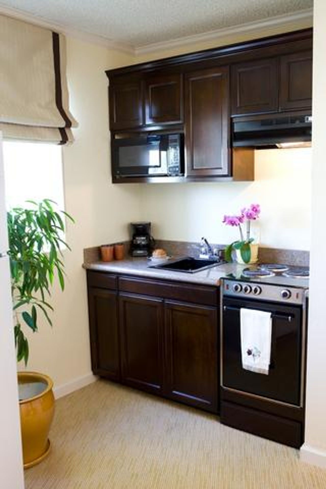 Photo of The Zen Hotel