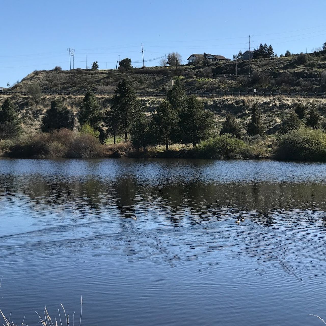 Photo of River Park Inn