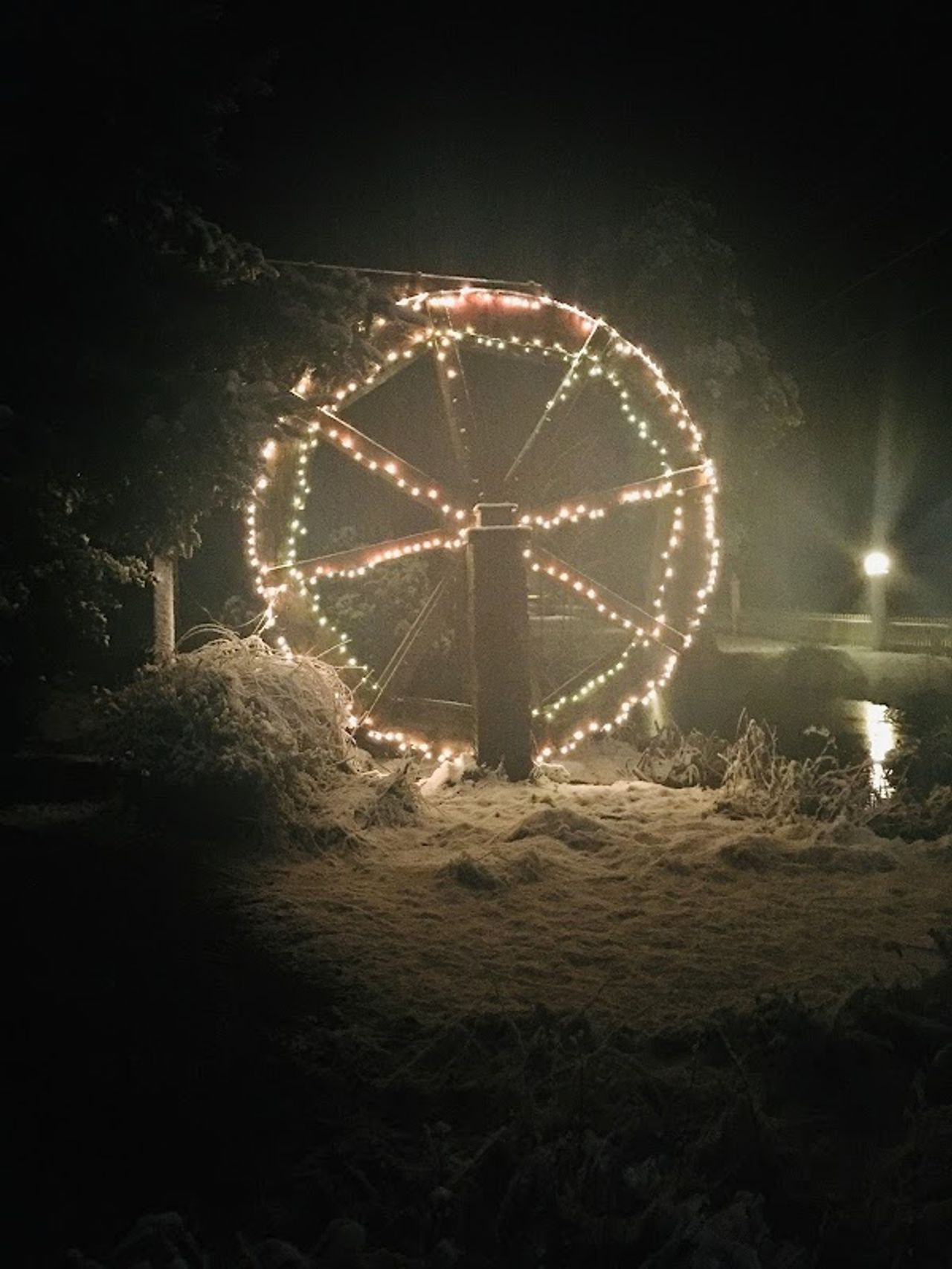 Photo of Alexander's Lodge At Mt Rainier