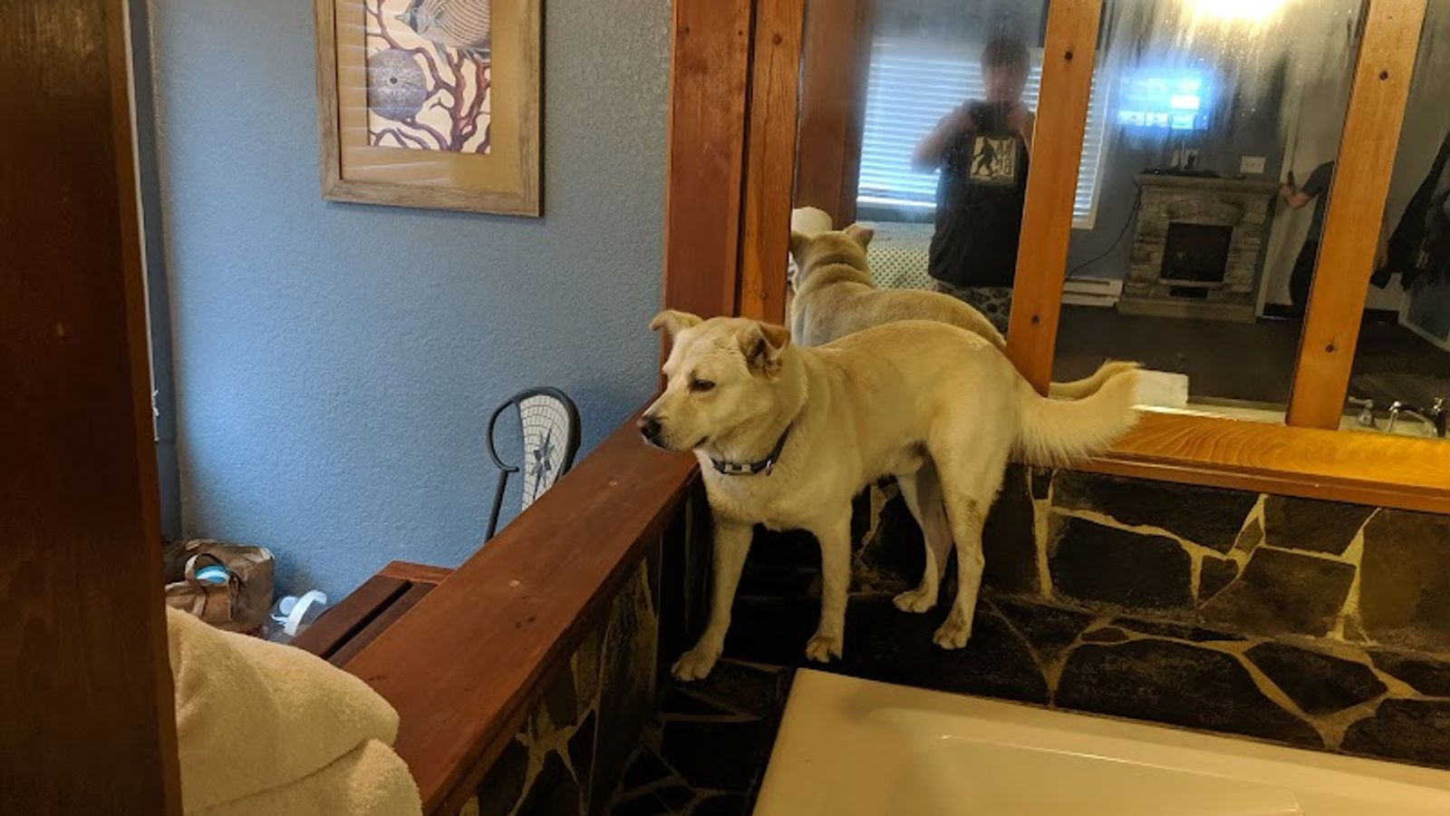 Photo of Guesthouse Inn