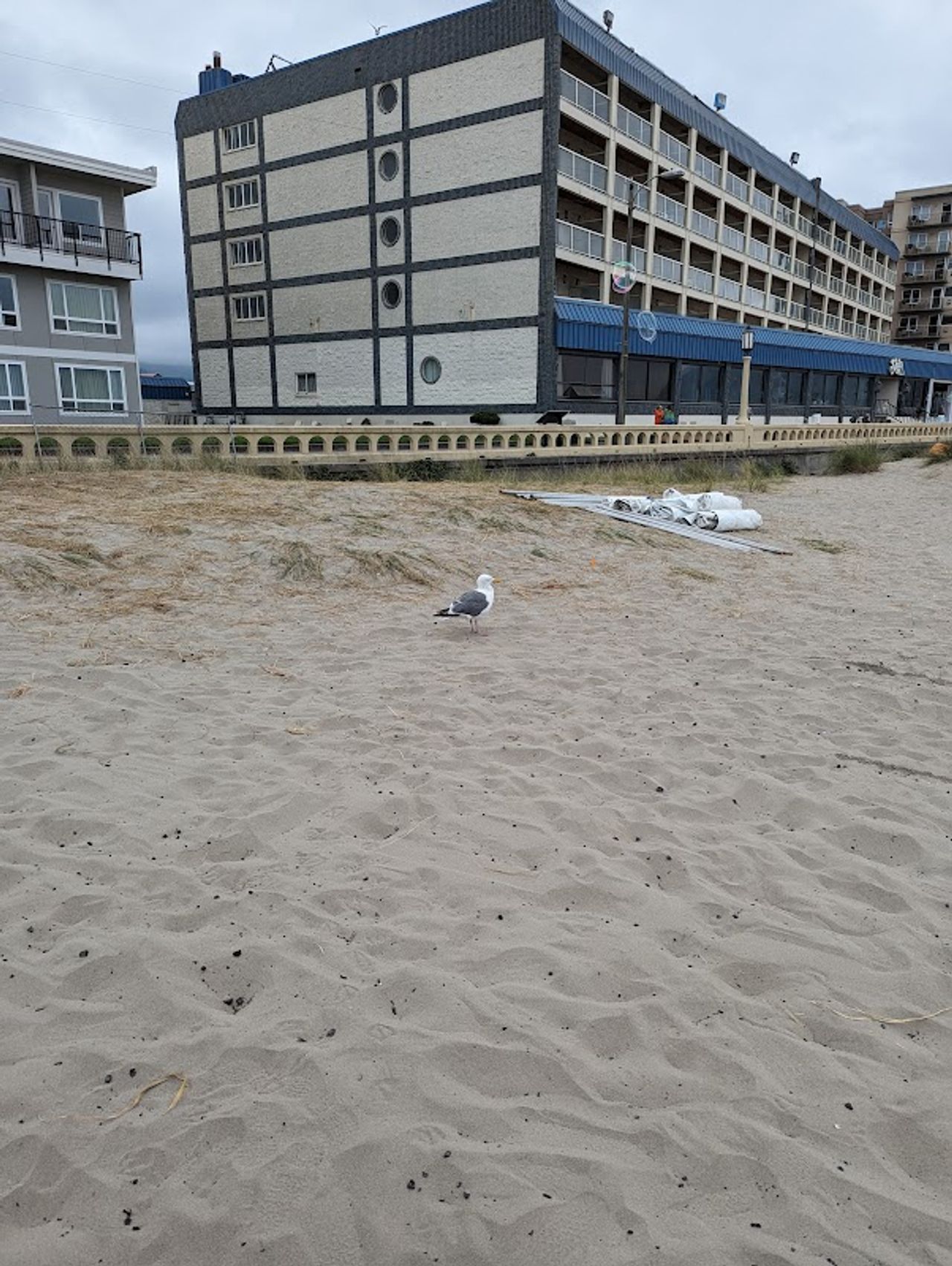 Photo of The Seashore Inn on the Beach- Seaside OR
