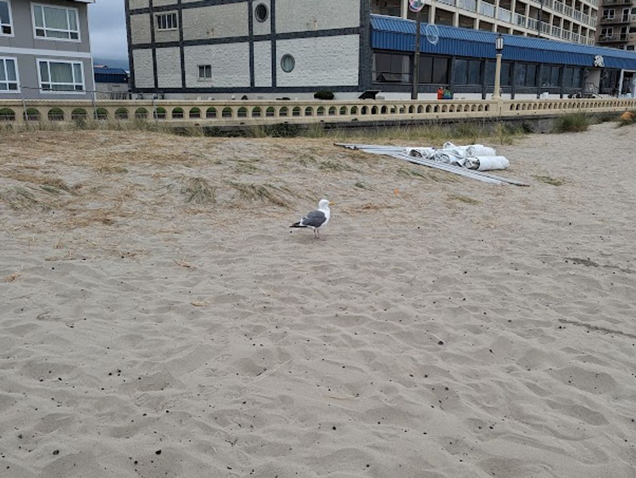 Photo of The Seashore Inn on the Beach- Seaside OR