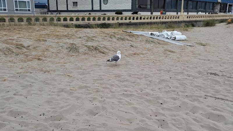 Photo of The Seashore Inn on the Beach- Seaside OR