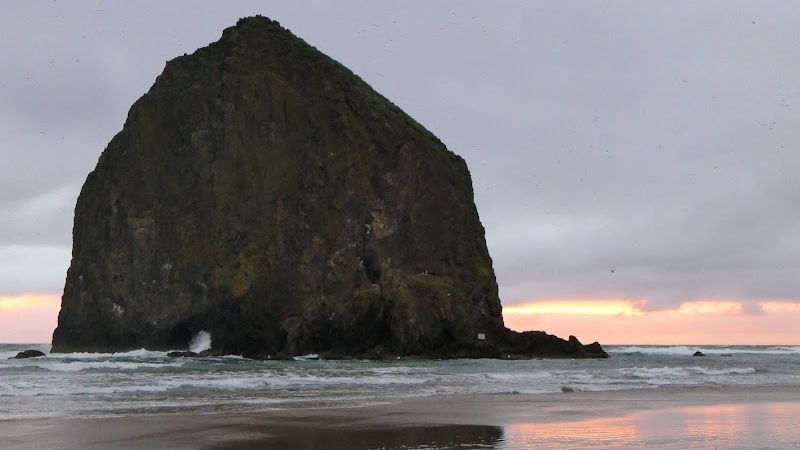 Photo of The White Heron Lodge