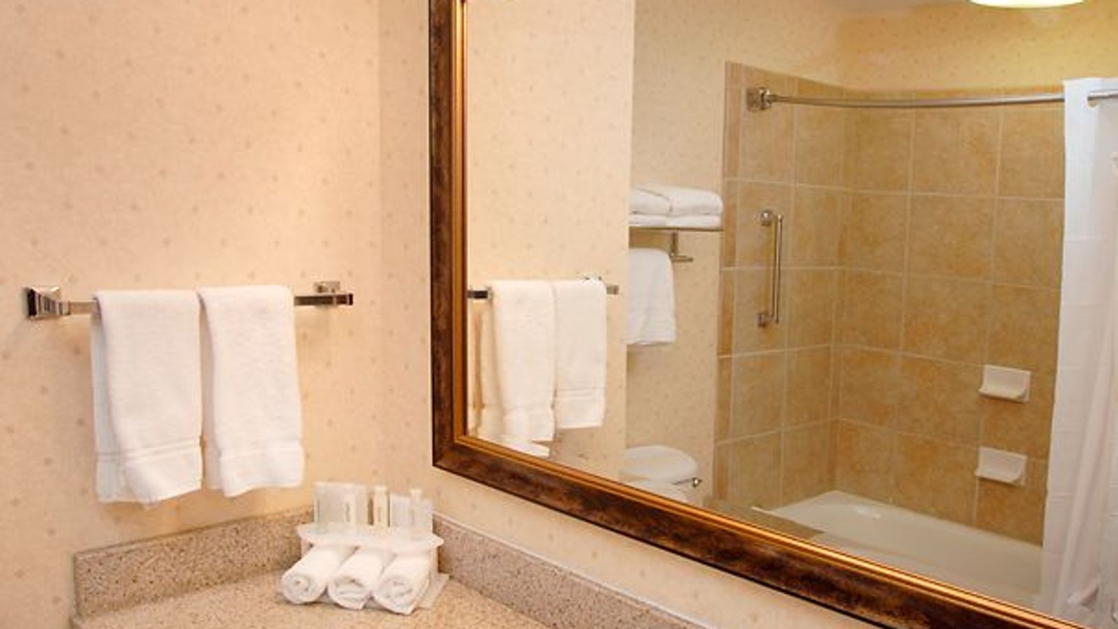Photo of Holiday Inn Express & Suites Marina - State Beach Area by IHG - Bathroom