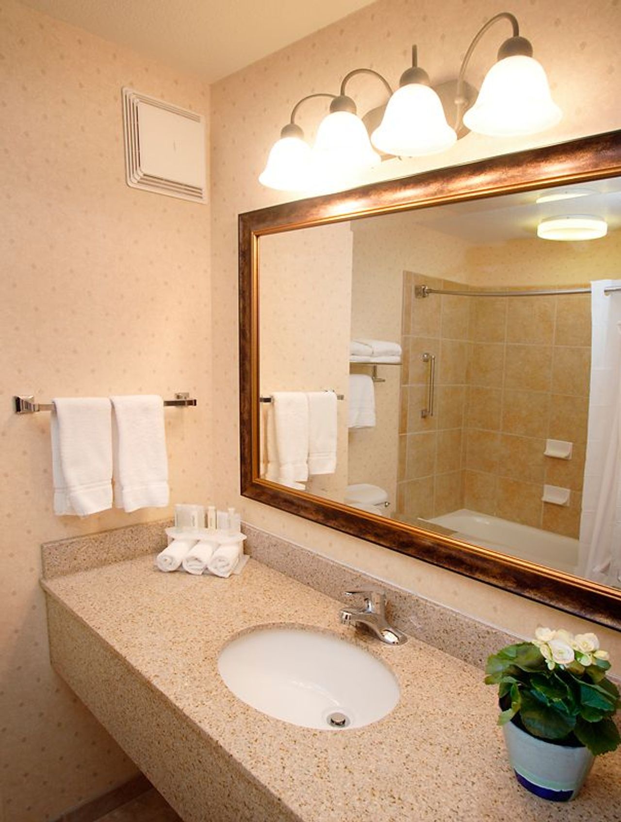 Photo of Holiday Inn Express & Suites Marina - State Beach Area by IHG - Bathroom