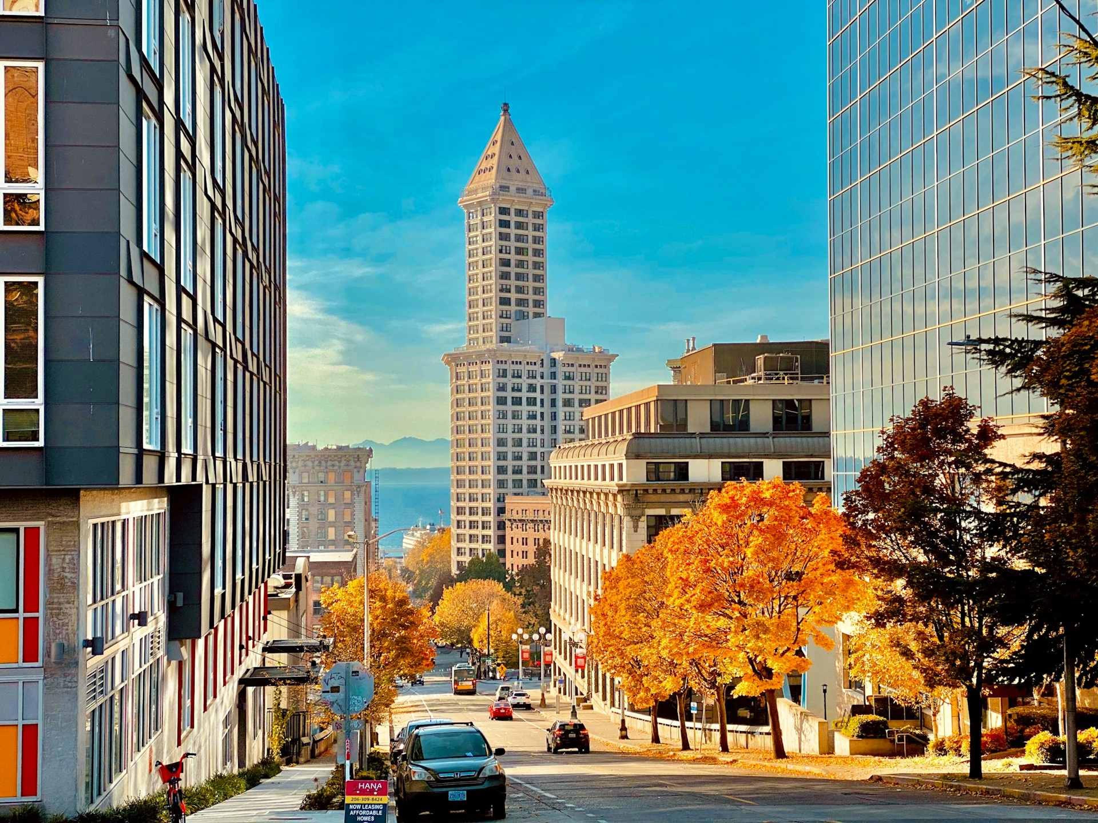 Seattle's Smith tower seen from Yesler terrace