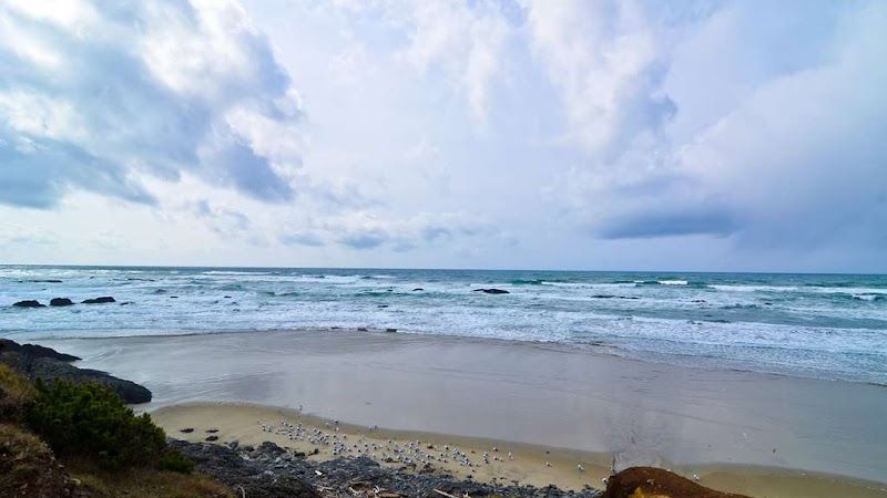 Photo of Best Western Pier Point Inn