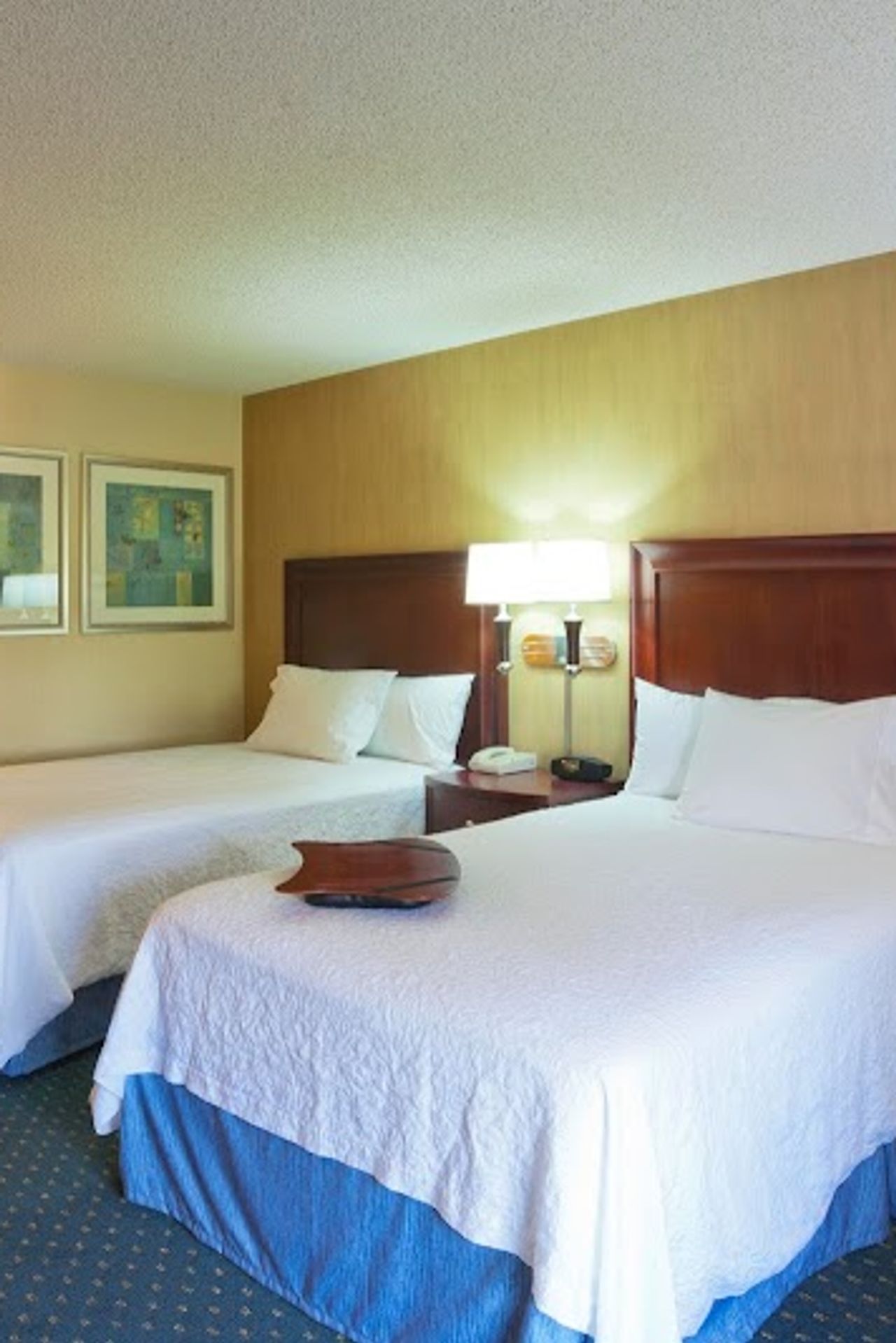 Photo of Hampton Inn Seattle-Airport
