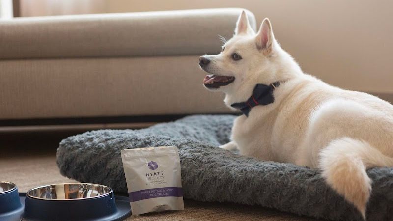 Photo of Hyatt Regency Lake Washington at Seattle's Southport