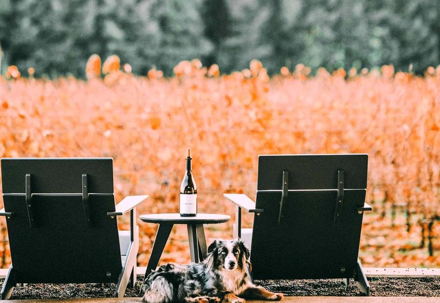 Two chairs and a bottle of wine in front of a vineyard in Newberg, OR, USA