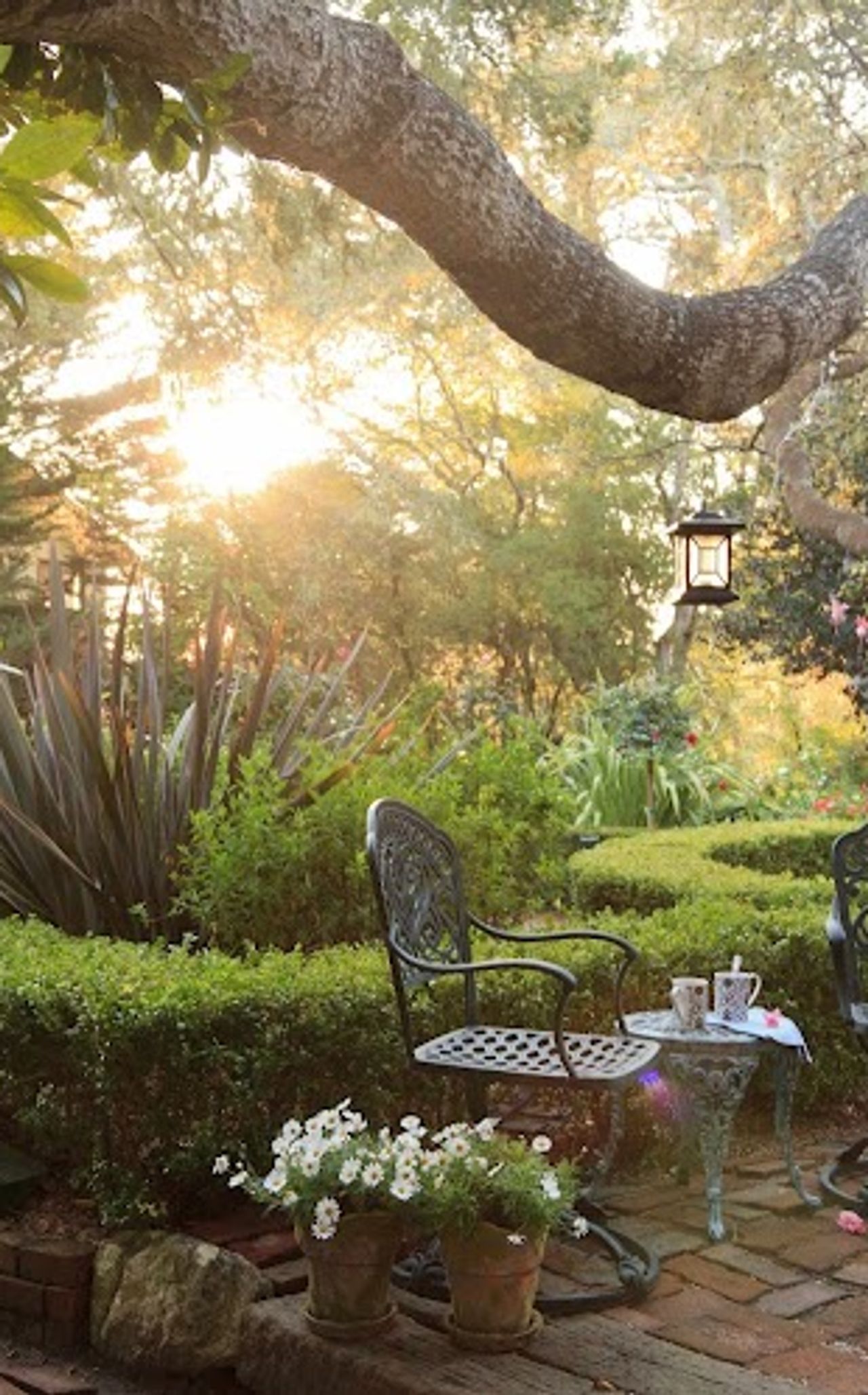 Photo of Old Monterey Inn - Exterior, The gardens at Old Monterey Inn