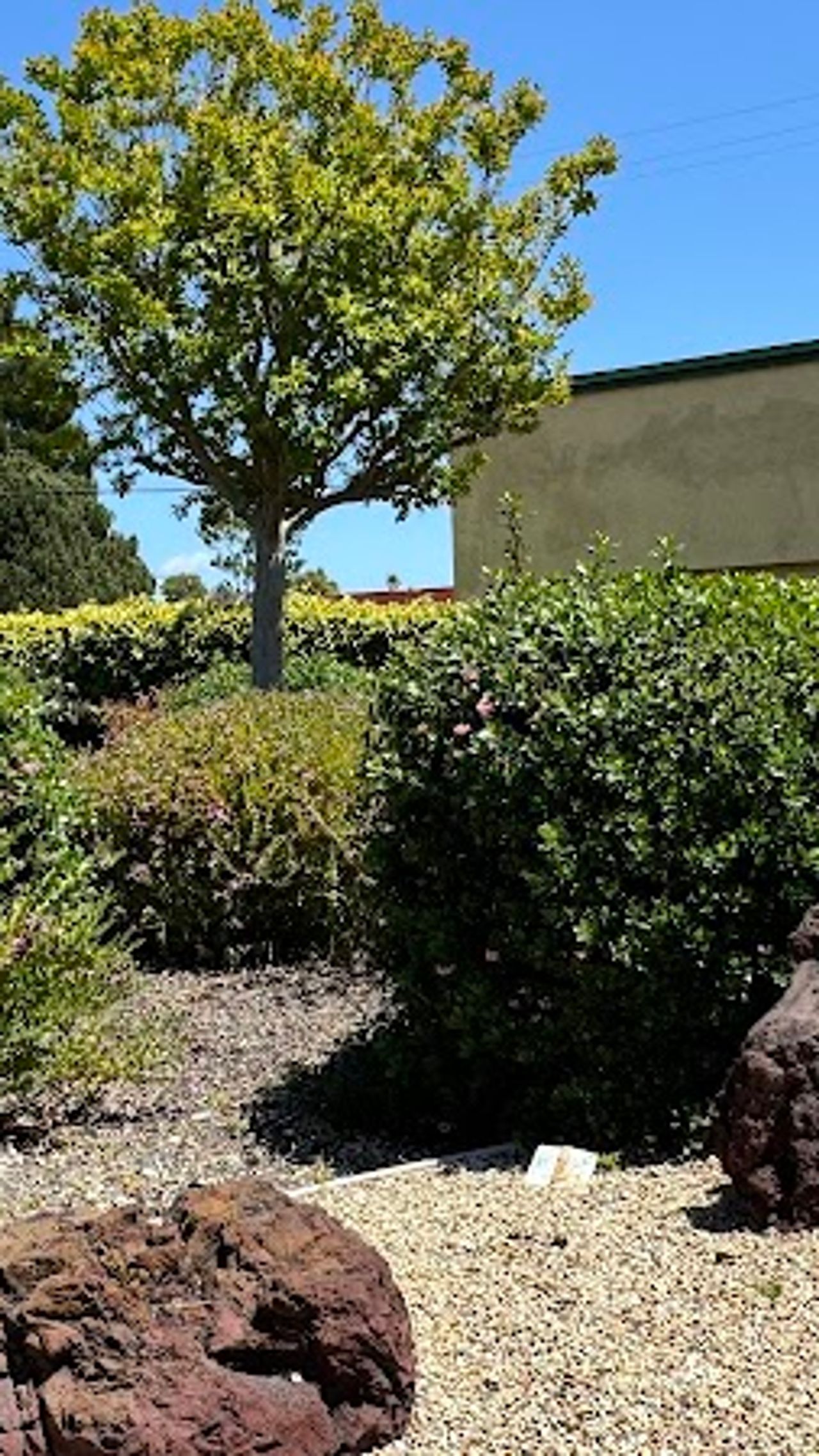 Photo of Hitching Post Studios Inn
