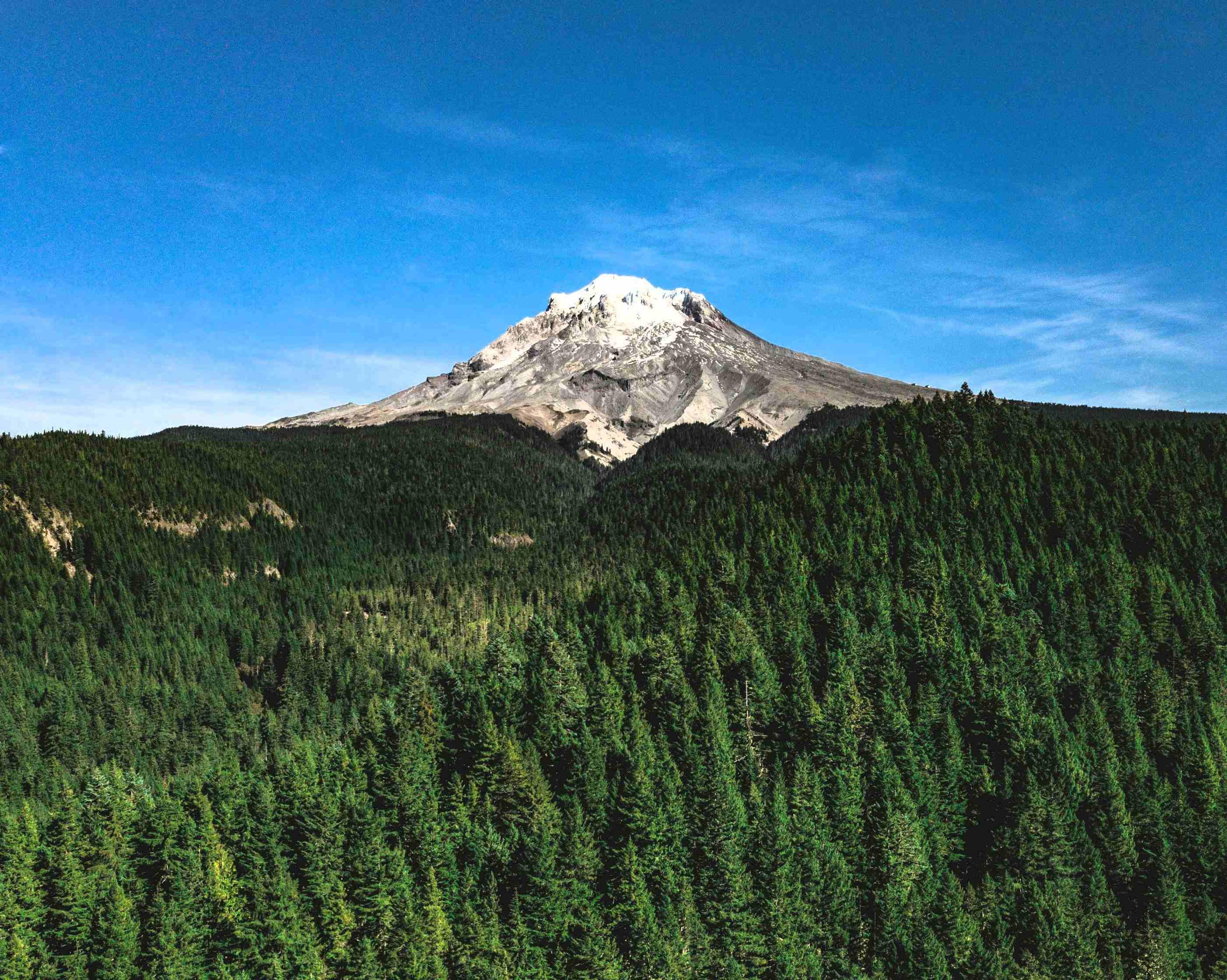 Mt. Hood Park Division Recreation Area, Government Camp, Oregon, USA