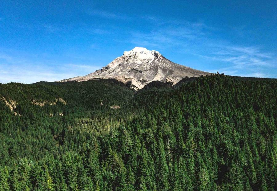 Mt. Hood Park Division Recreation Area, Government Camp, Oregon, USA