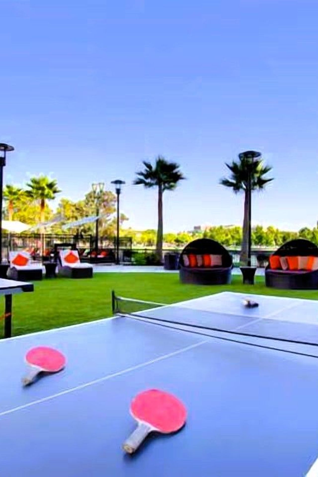 University Plaza Waterfront Hotel - Outdoor Leisure and Sports Facility