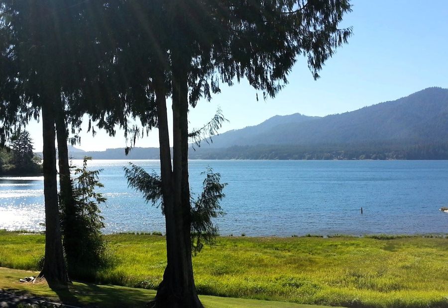 View of Lake Quinault from the South Shore Road on Washington State's Olympic Peninsula.