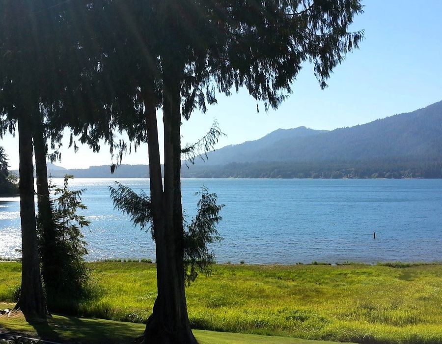 View of Lake Quinault from the South Shore Road on Washington State's Olympic Peninsula.