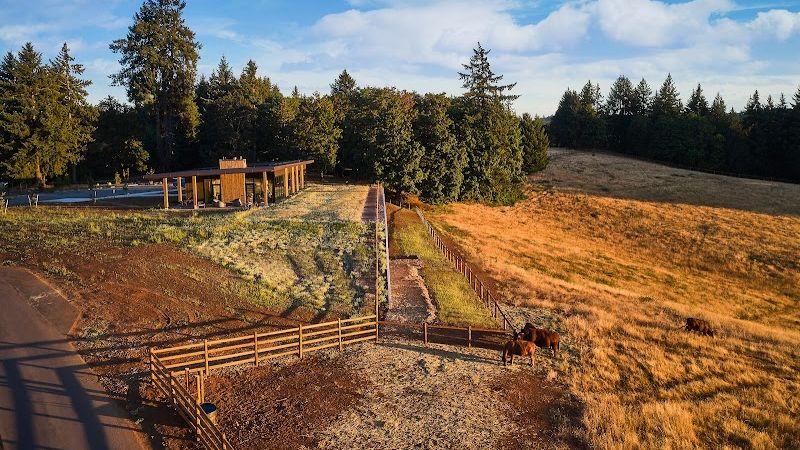 Photo of Inn the Ground