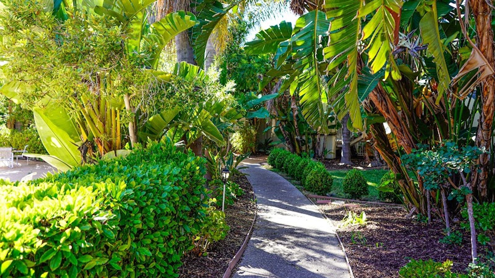Photo of Uptown Oasis San Jose Airport