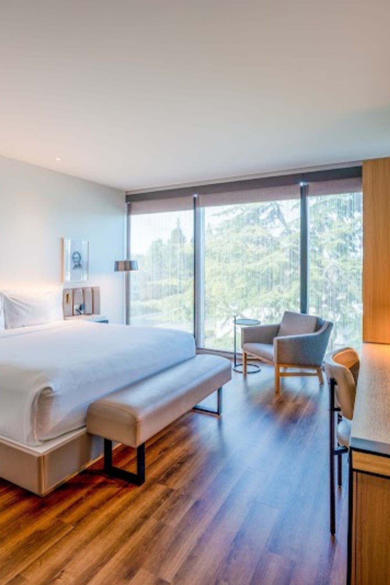 Photo of Shashi Hotel Mountain View Palo Alto