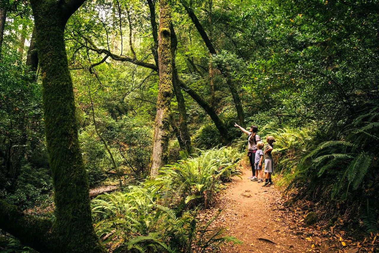 Photo of Chaminade Resort & Spa - Hiking Trails