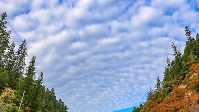 Photo of McCully House Inn