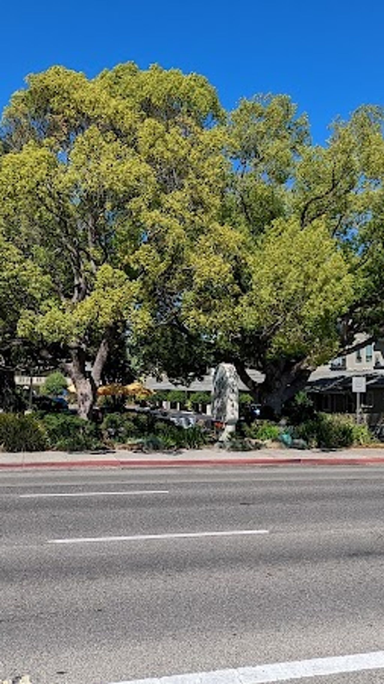 Photo of Country Inn Motel