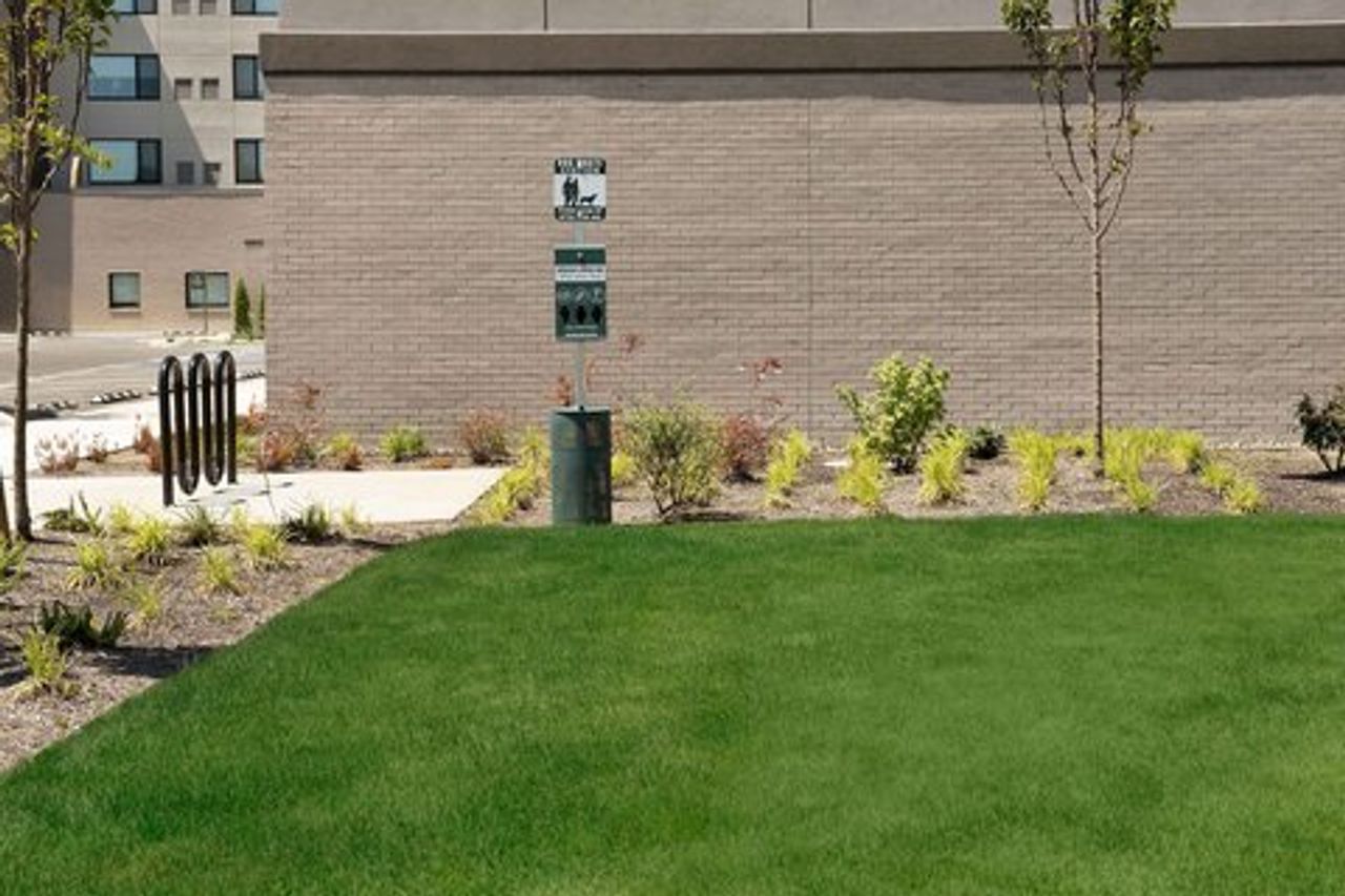 Photo of Element Seattle Sea-Tac Airport