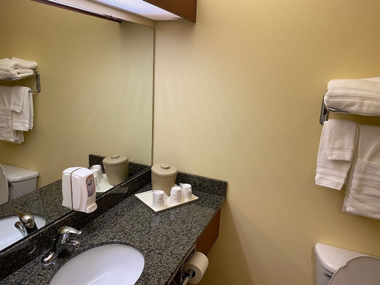 Photo of Palace Inn & Suites