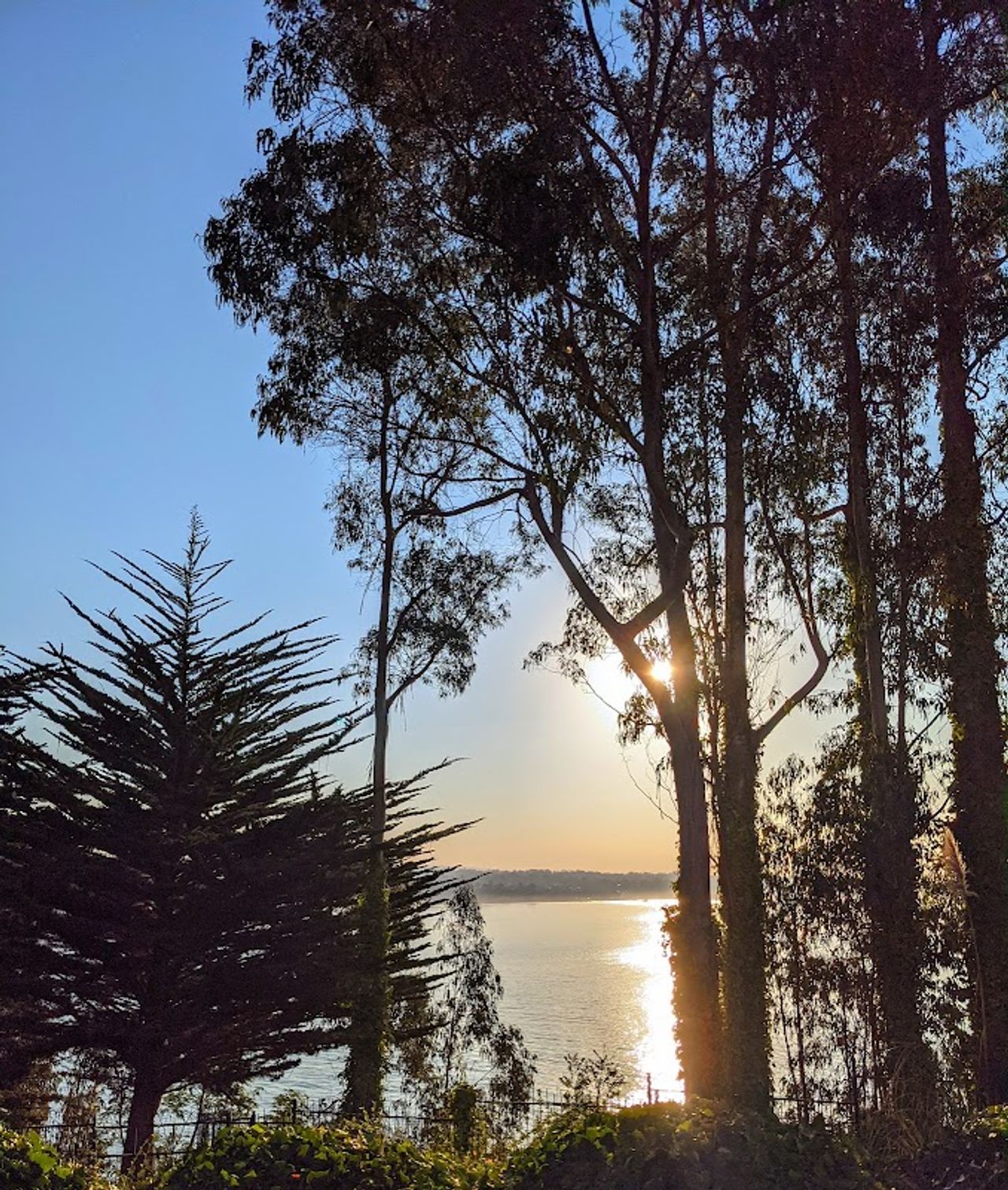 Photo of Monarch Cove Inn