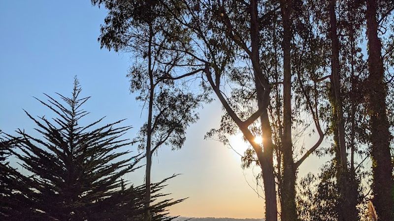 Photo of Monarch Cove Inn