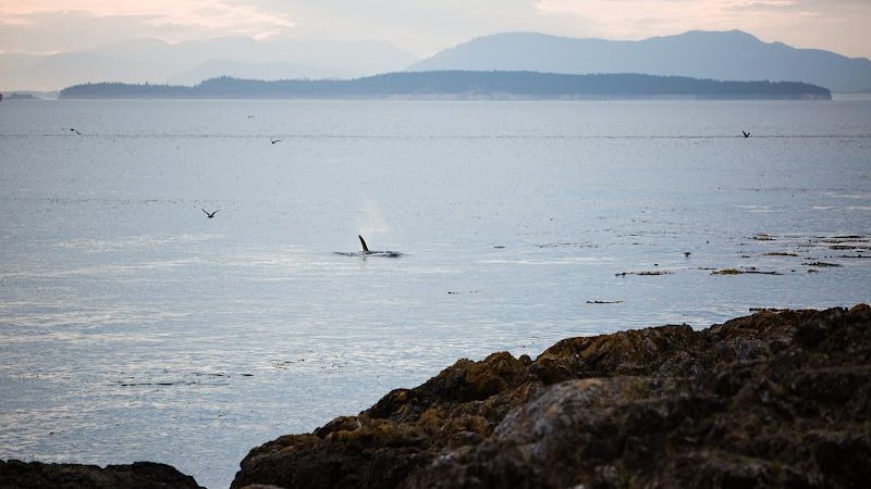 Photo of Friday Harbor House