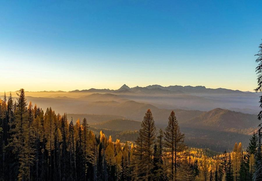 Best Value Mountain Getaways in Washington with Pet-Friendly Policies