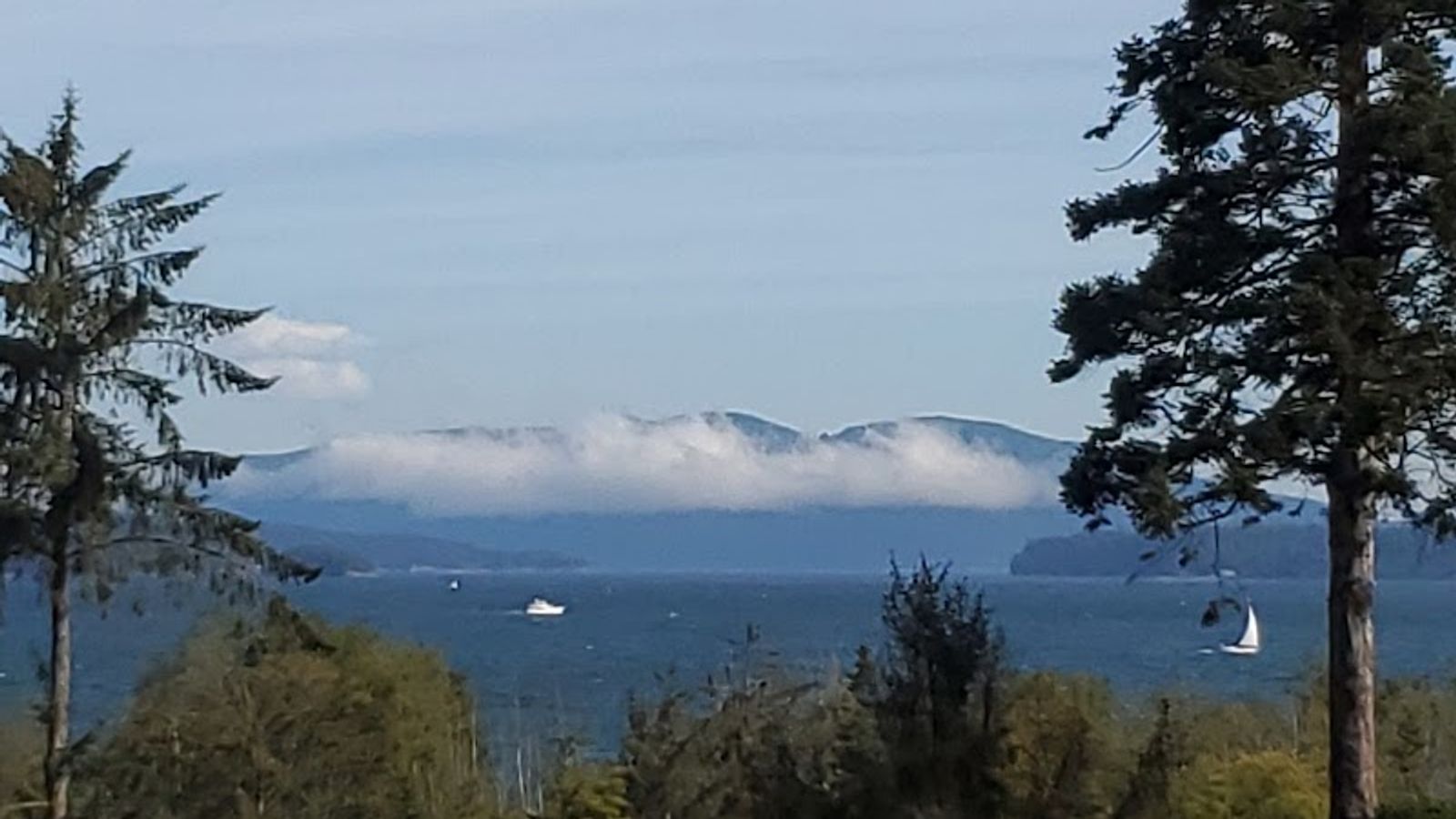 Photo of Ship Harbor Inn