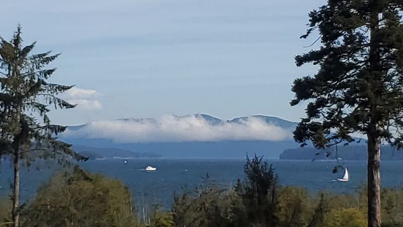 Photo of Ship Harbor Inn