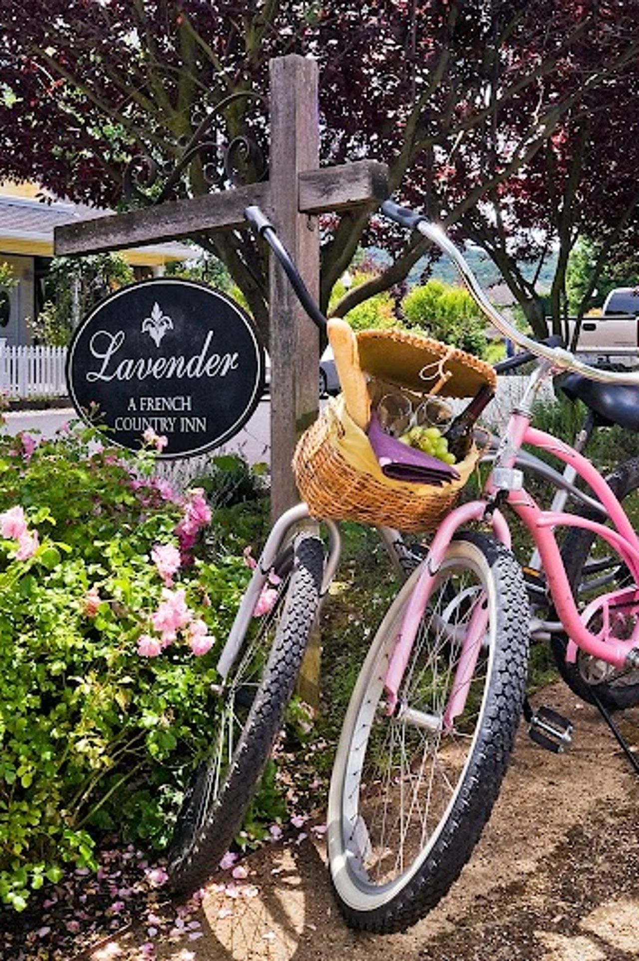 Photo of Lavender, A Four Sisters Inn