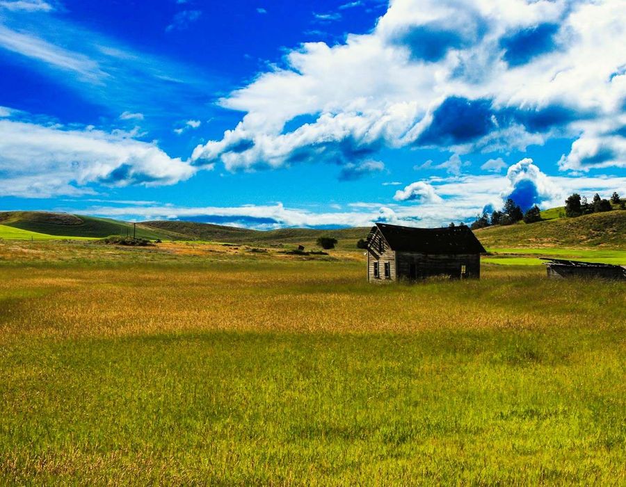 Cheney, Washington, USA