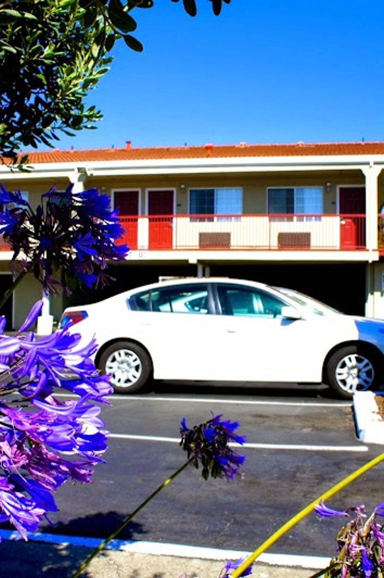 Photo of Regency Inn