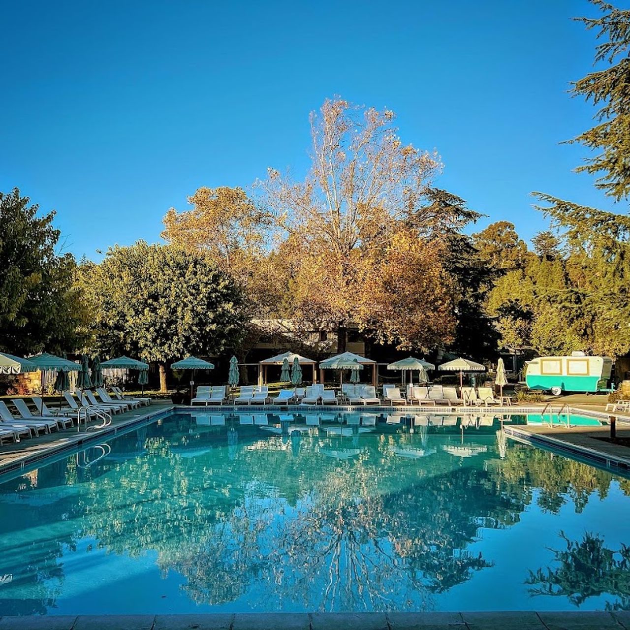 Photo of Flamingo Resort & Spa