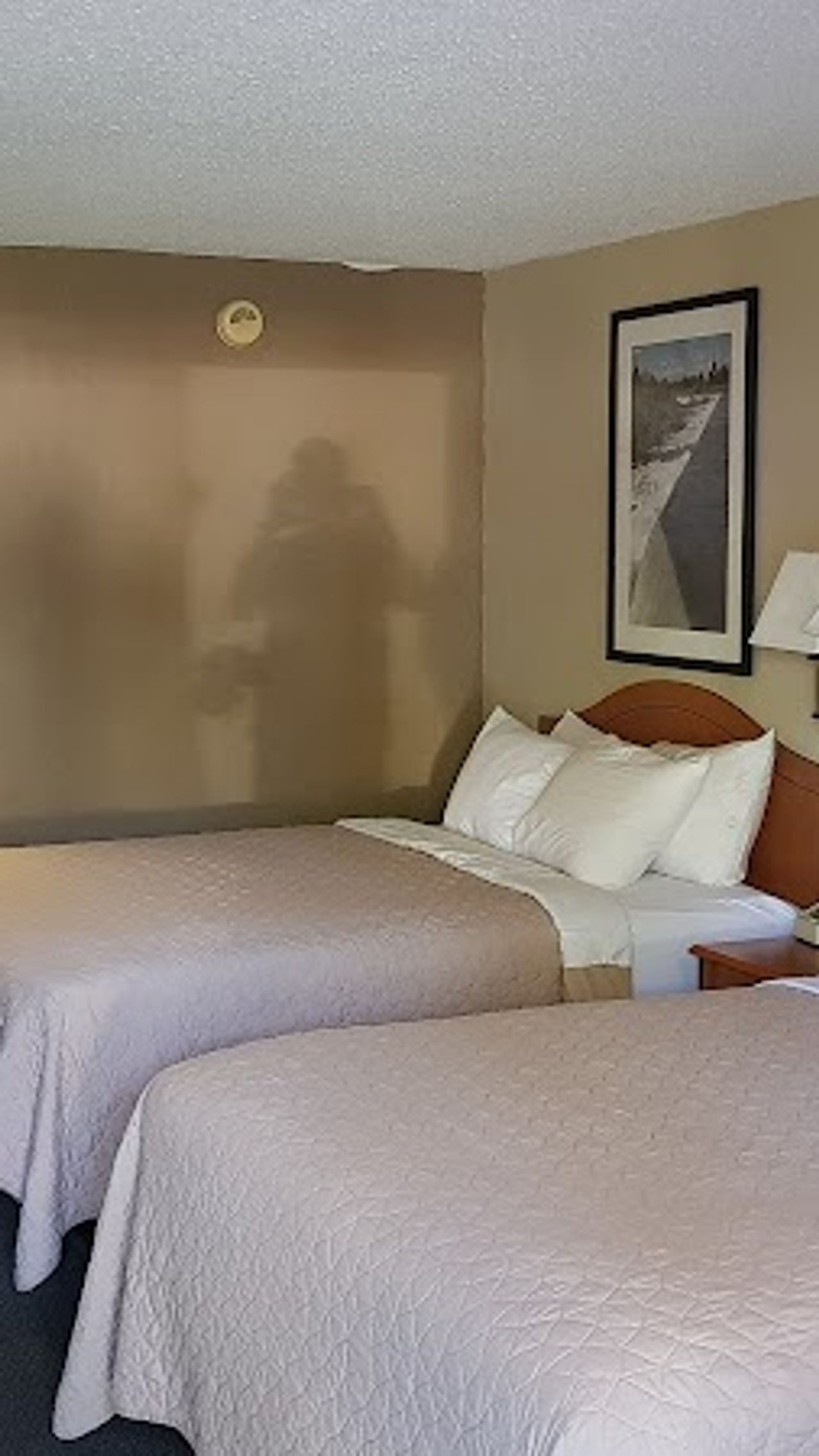 Photo of Motel West