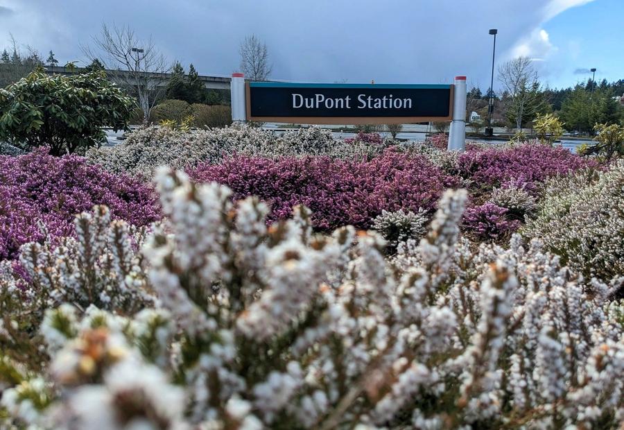 DuPont, Washington, USA