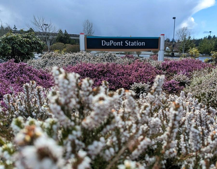 DuPont, Washington, USA