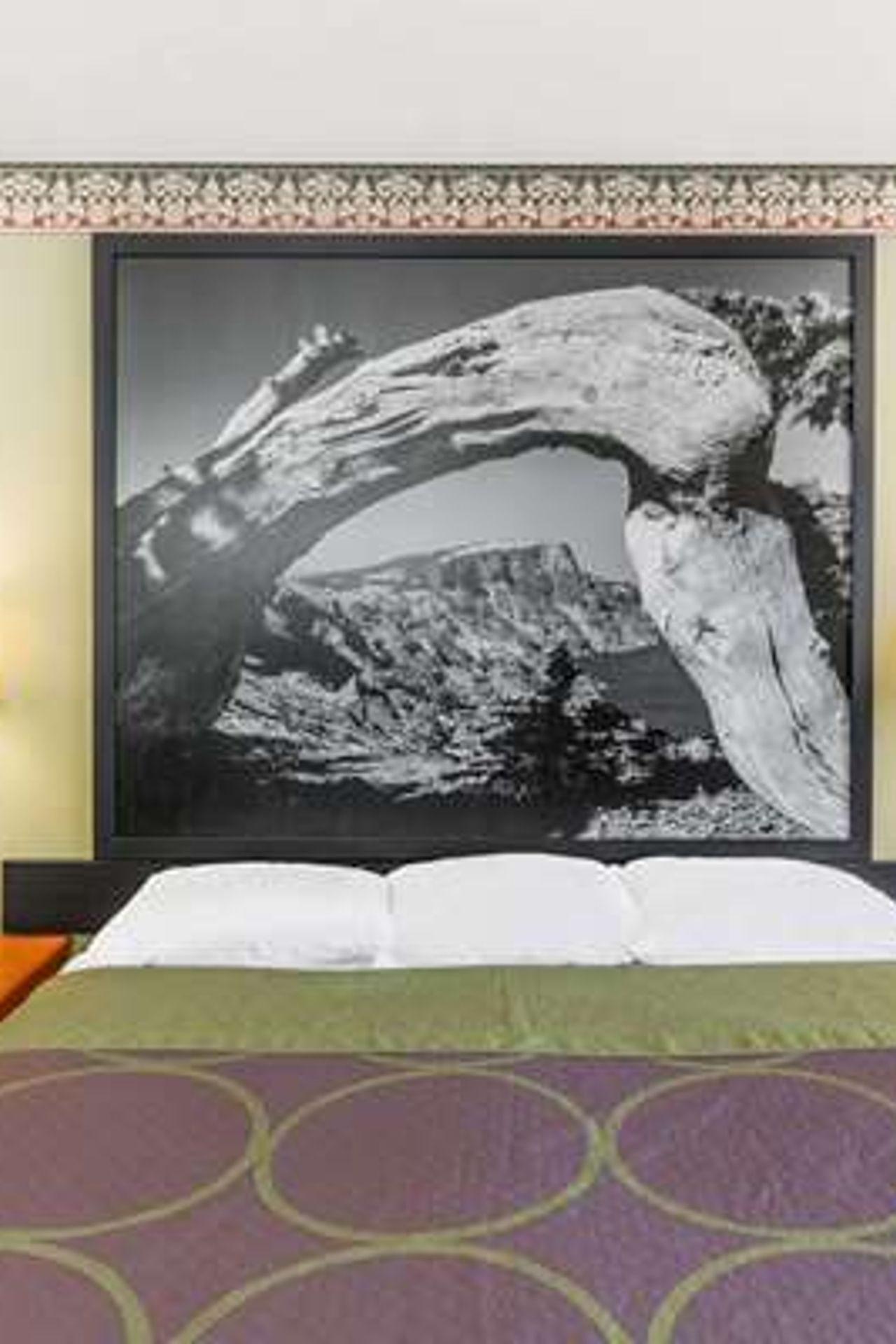 Photo of Super 8 by Wyndham Grants Pass