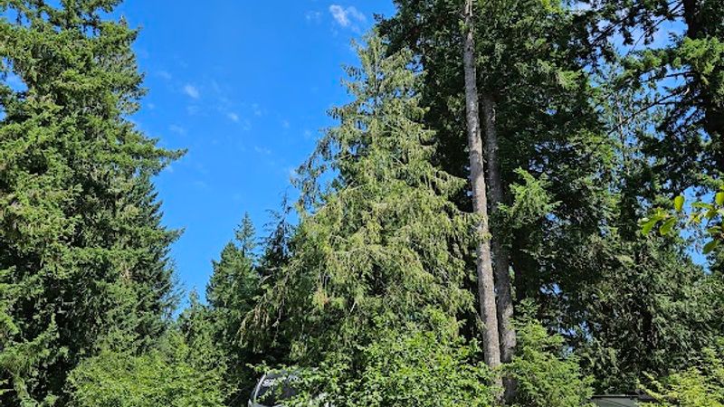 Photo of Thousand Trails Chehalis