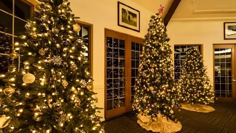 Photo of Lakeside Lodge & Suites